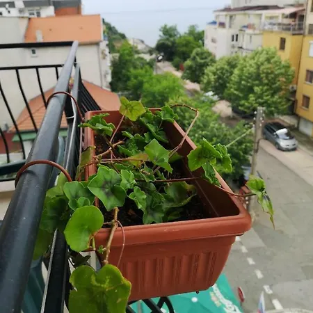 Kovachevi House 3* Приморско